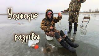 Усяжские разливы.Зимняя рыбалка со льда.Ловим плотву