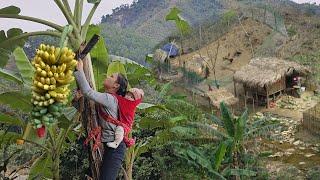 Timelapse 180 Days: Life of a 17 Year Old Single Mother, Harvesting & Taking Care of Children