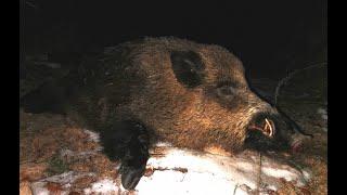 Long Range Hunting: Wild Boar