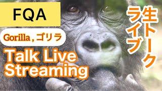 2023/3/19  FQA of Momotaro familyモモタロウ家族のFQA【京都市動物園 KyotoZoo, Gorilla ゴリラ