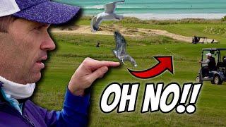 Newquay Golf Club | Shambles Golf Part 3