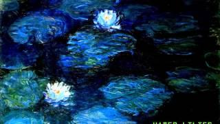 Water Lilies - Joel Perino