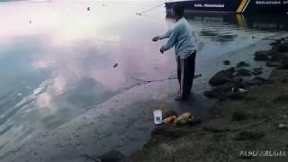 MANTAP!!!! Mancing belanak pakai BOTOL BESAR | Strike berkali-kali BOSS!!!