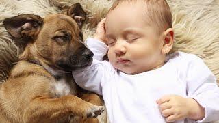 30 Adorable Dog/Baby Moments That Will Melt Your Heart ️