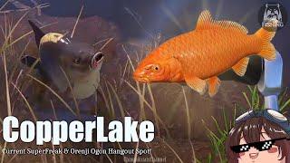 (Russian Fishing 4) Copper Lake Current SuperFreak & Orenji Ogon Hangout Spot!