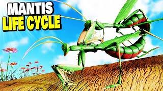 I'VE BEEN MOUNTED! Insanely Realistic Insect Lifecycle Experience..