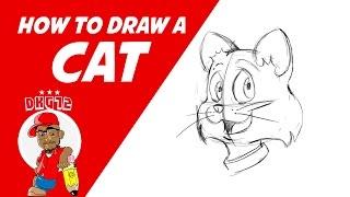 How to draw a Cat - Drawing with DKG72