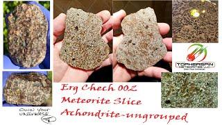 Meteorite Erg Chech 002 - New 2020 Ungrouped Achondrite - Slice from the stone that was classified!!