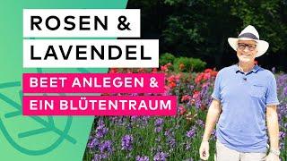 Rosen & Lavendel – Beet anlegen & pflegen