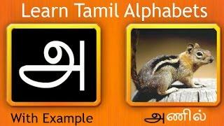 Learn Tamil Alphabets