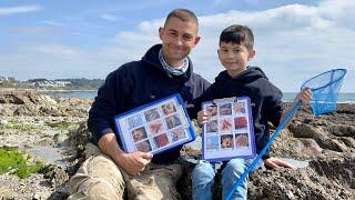 Exploring the Seashore and Tidepools - Learn about the seashore - Rockpool Bingo | The Fish Locker