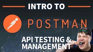 How to Use Postman to Test APIs and Manage Collections