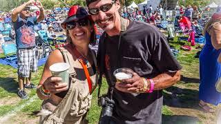 Blues and Brews 2014