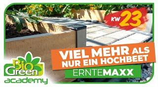 Mehr als nur ein Hochbeet – Die Vorteile des ErnteMAXX