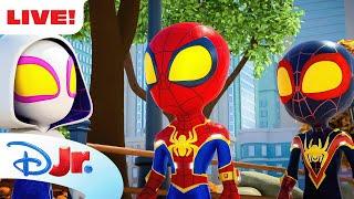  LIVE! NEW SPIDEY FULL EPISODES & SHORTS | Marvel's Spidey and his Amazing Friends | @disneyjr