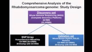 Cancer Genomics and Precision Medicine in the 21st Century - Lee Helman