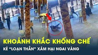 Cận cảnh khoảnh khắc khống chế kẻ “loạn thần” xâm hại ngai vàng triều Nguyễn ở Huế | CafeLand