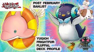 YUGIOH NEW FORMAT FRIGHTFUR FLUFFAL DECK PROFILE POST THE BANLIST 2023 #yugiohtcg #yugioh