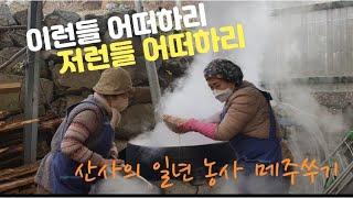 또 한번 선조들의 지혜을 엿 본 전통 메주쑤기