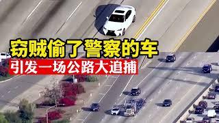 竊賊偷了美國警察的雷克薩斯，引發壹場公路大追捕，結局幾年不遇