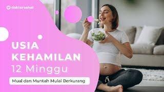 Hamil 12 Minggu, Mual dan Muntah Mulai Berkurang |DokterSehat