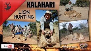 Kalahari Lion hunting safari