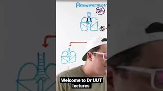 tuberculosis by ninja nerd and Dr UUT lectures 