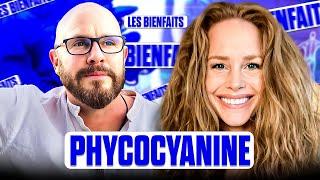 Les bienfaits de la Phycocyanine fraîche 10k - Nutriment protéiné