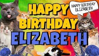 Happy Birthday Elizabeth! Crazy Cats Say Happy Birthday Elizabeth (Very Funny)