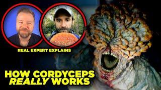 The Last of Us CORDYCEPS Myths DEBUNKED By Real Fungus Expert!