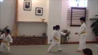 Portsmouth Aikido -- 9th kyu tests