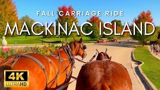 Mackinac Island Fall Carriage Ride | Soothing Clip Clop of Horse Hooves on a Tranquil Nature Trail