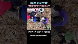 미스터트롯3. 의지의 한국인 '붐' 처참한 허벅지 씨름의 최후  #붐 #미스터트롯3 붐 #미스터트롯3