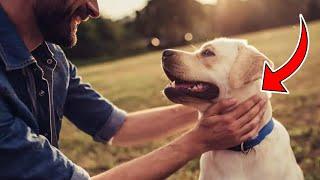 Discover 10 Scientific Secrets to Make Your Dog Love You a Lot More!