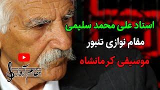 مقام نوازی تنبور با استاد علی محمد سلیمی