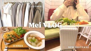 【vlog】アラフォーOLの毎日の食事と時々today's outfit|新しいスーツケース