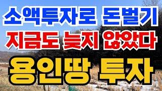 왜 용인 토지가 핫할까? 투자 비법 대공개! 010-3391-6663