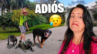 Me Despido de la Finquita Bonita  Sandra Cires Vlog