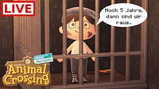 Ab jetzt aus dem Gefängnis! - Animal Crossing New Horizon #7