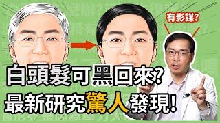 白頭髮有可能變回黑頭髮嗎？皮膚科林政賢醫師告訴你最新研究的驚人發現！