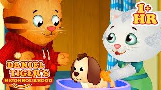 Daniel Takes Care of His Pet | Animals for Children | Daniel Tiger's Neighborhood | 9 Story Kids