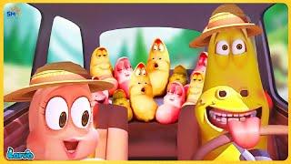 Larva Season 3 Episode 73 Larva Cartoons | The BEST of Cartoon Box