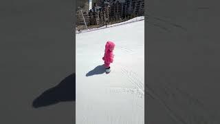 The Smart DogLittle puppy dog cycle ride #doglover #pomeranian #cutedog #whowillbemylifepartnerta