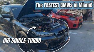 The BEST BMWs I’ve seen! - NEW Frozen Dark Grey G90 M5, BMW Classics, Single-turbos EVERYWHERE!