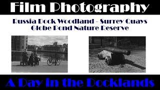 Surrey Quays - Russia Dock Woodland - Globe Pond Nature Reserve