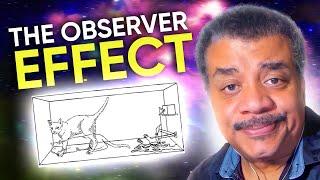 What is Schrödinger's Cat? | Neil deGrasse Tyson Explains...