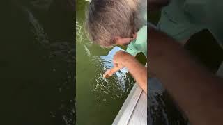 How To Catch Bream BARE-HANDED!!!