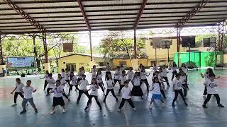 WELLNESS DANCE EXERCISE (MES)