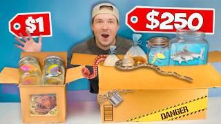 Buying $1 vs $250 Live Sea Creature Mystery Boxes