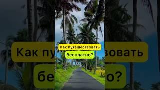 Как путешествовать бесплатно по всему миру? #путешествия #круиз #круизныелайнеры #тревел